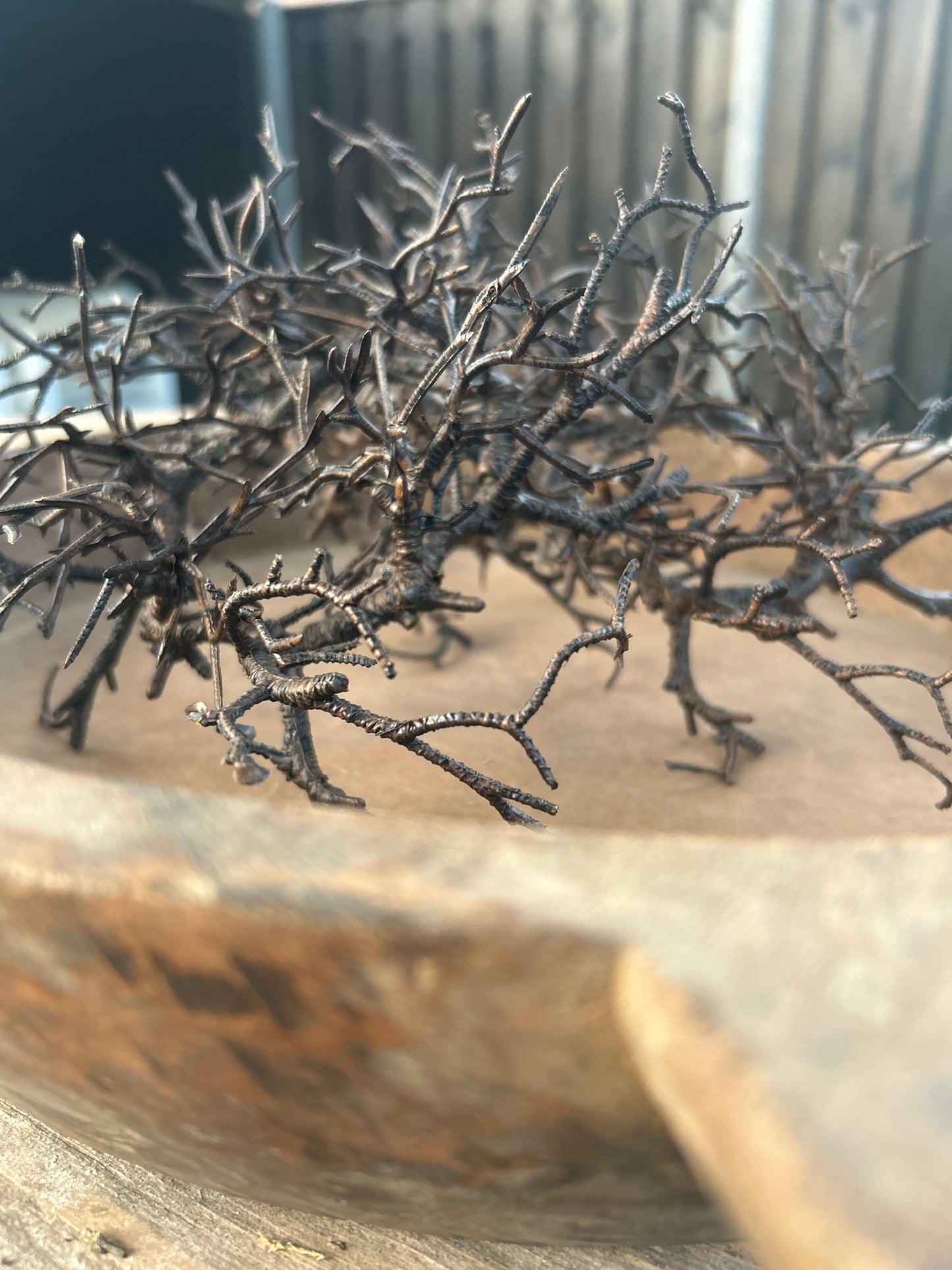 Bonsai kransje kunst