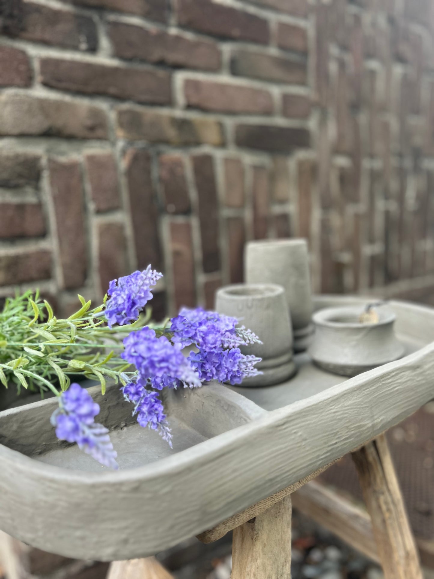 Tray Organic Collection