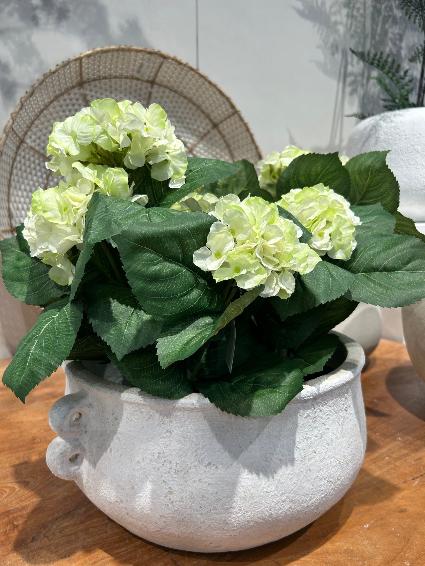 Hortensia White Green