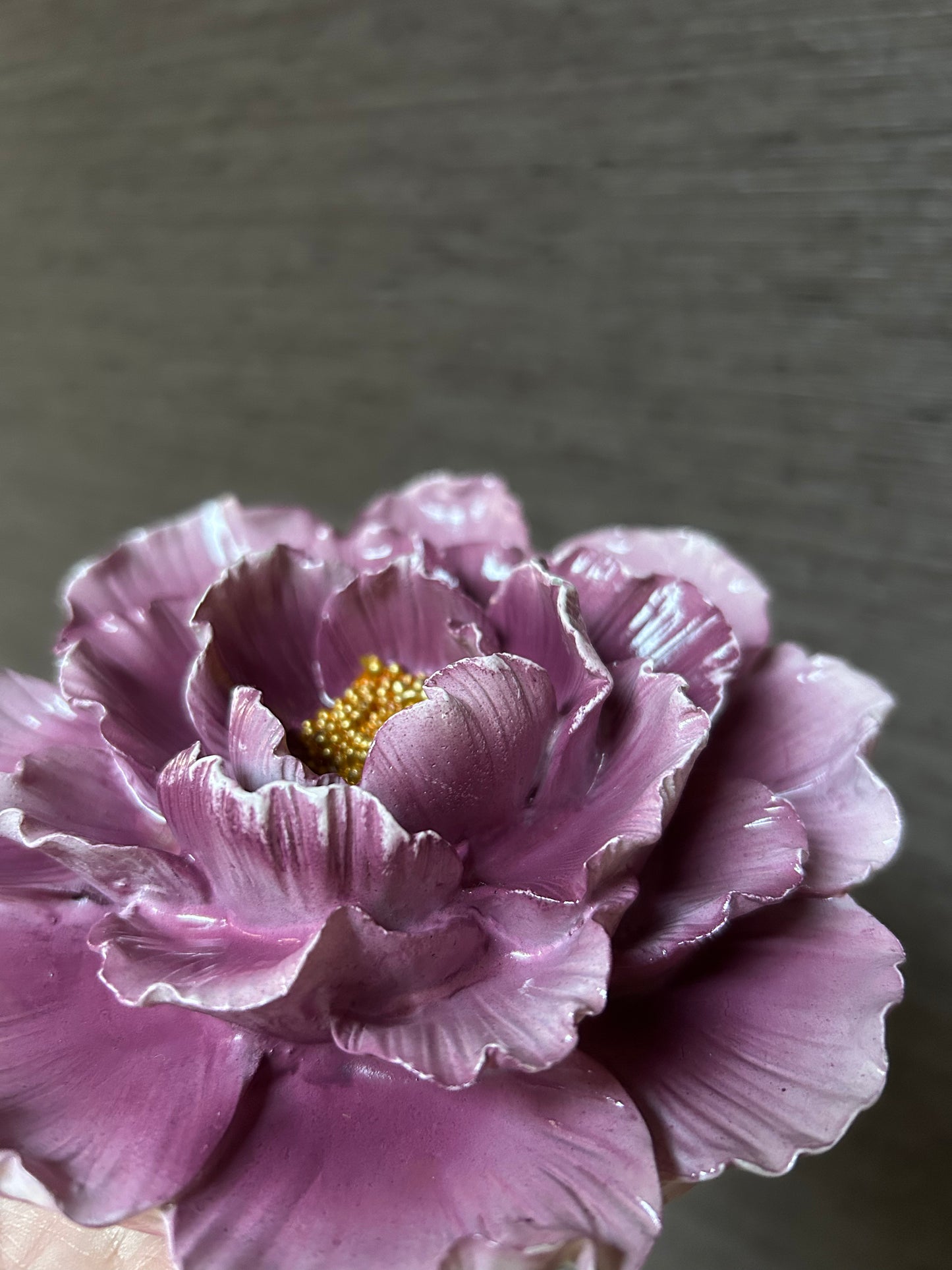 Muurbloem Muriel nr 4