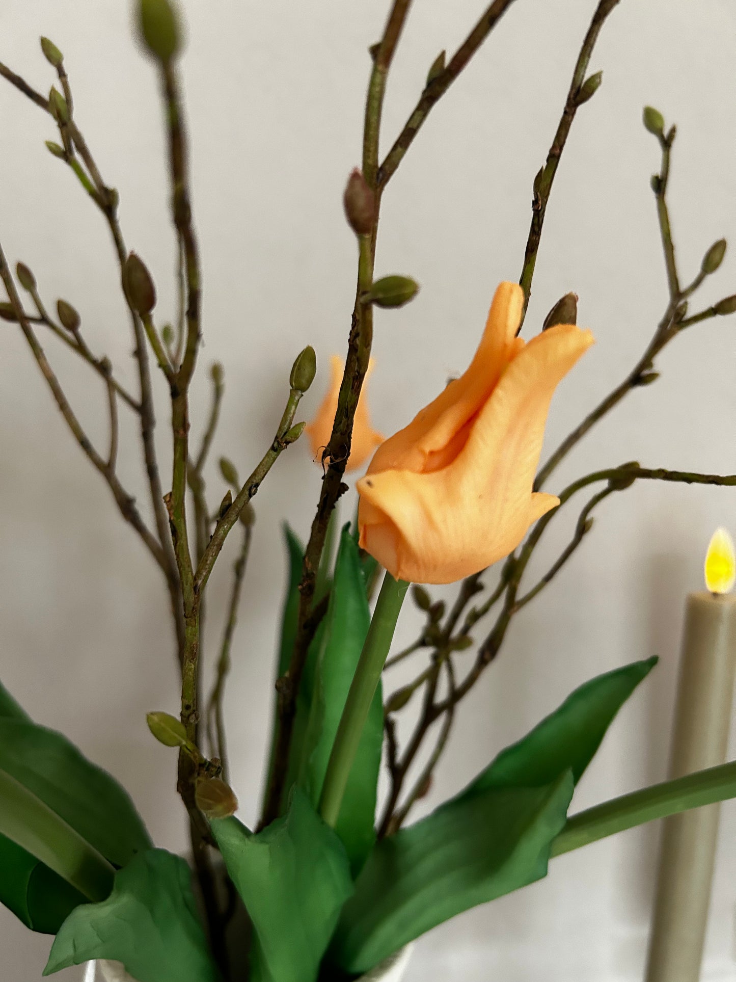 Papegaaien tulp Orange