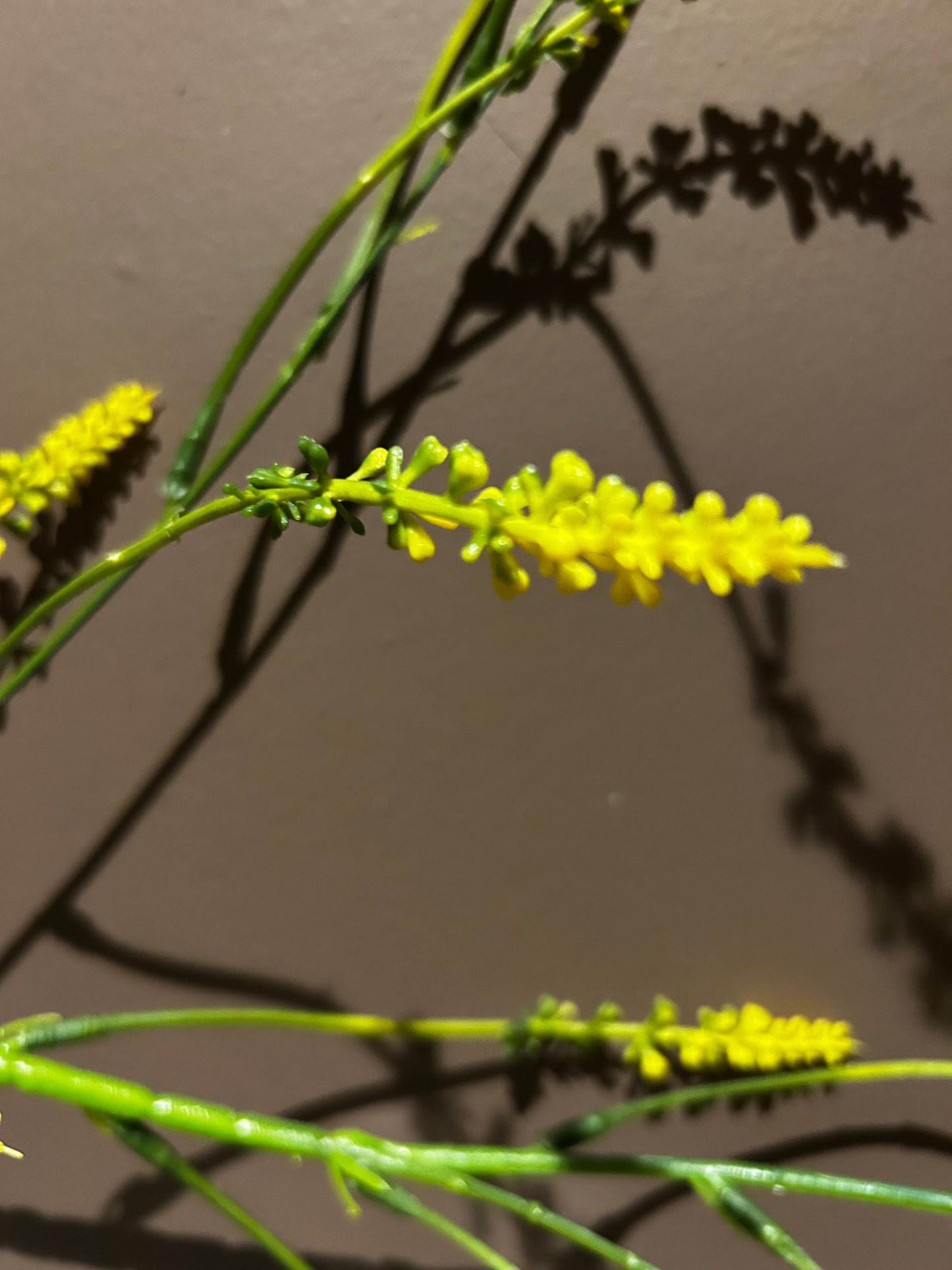 Spray Butter Yellow