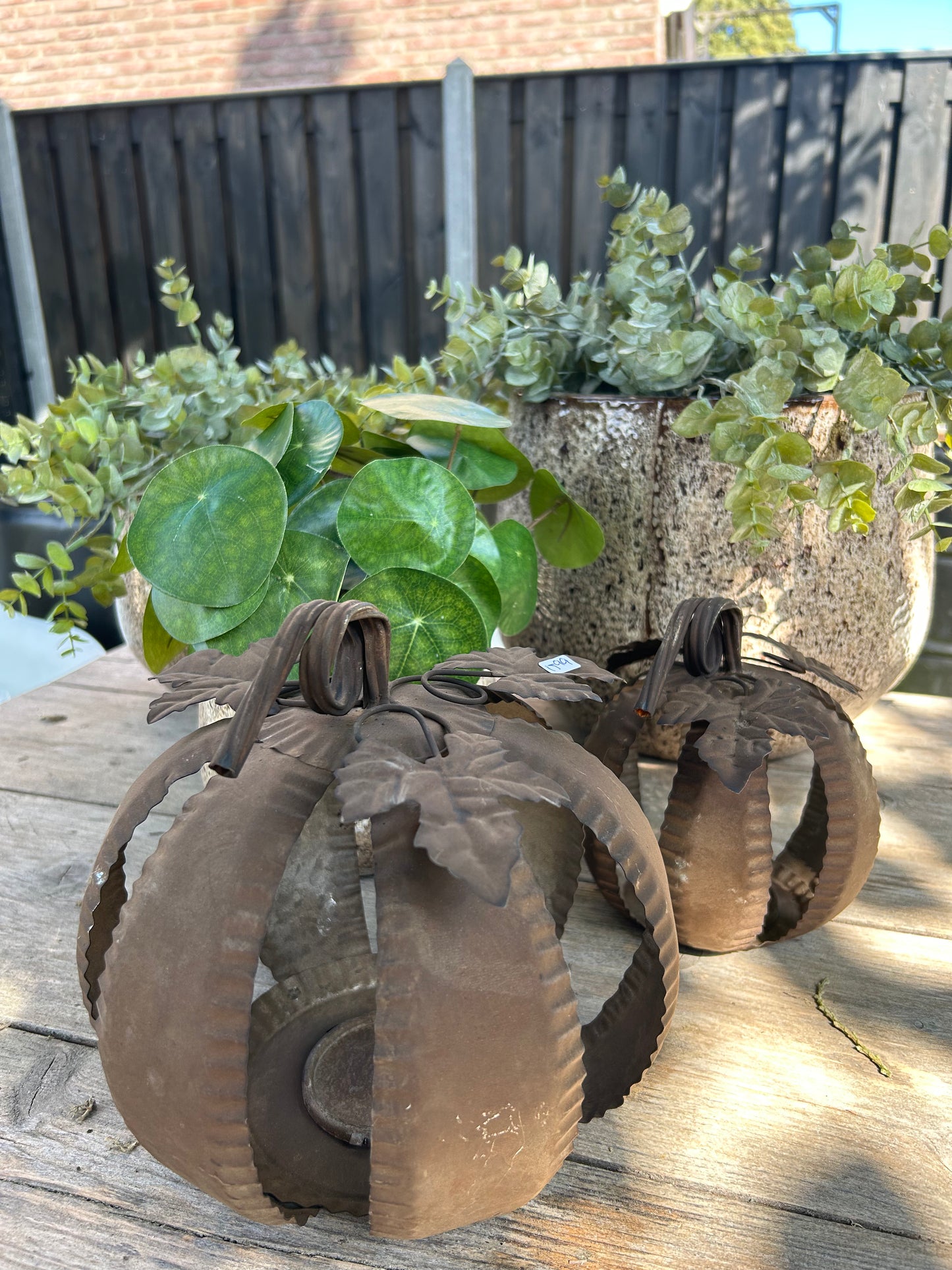 Retro pot M ex plantjes