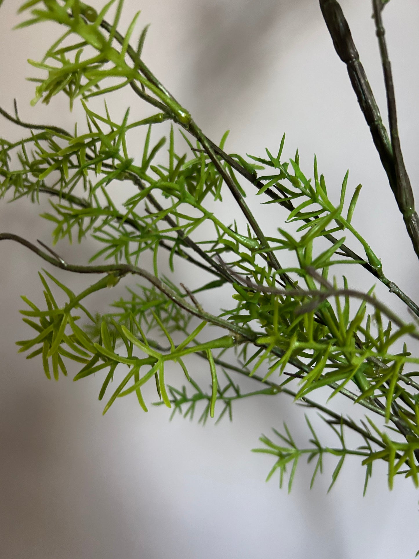 Spring Branch green 120