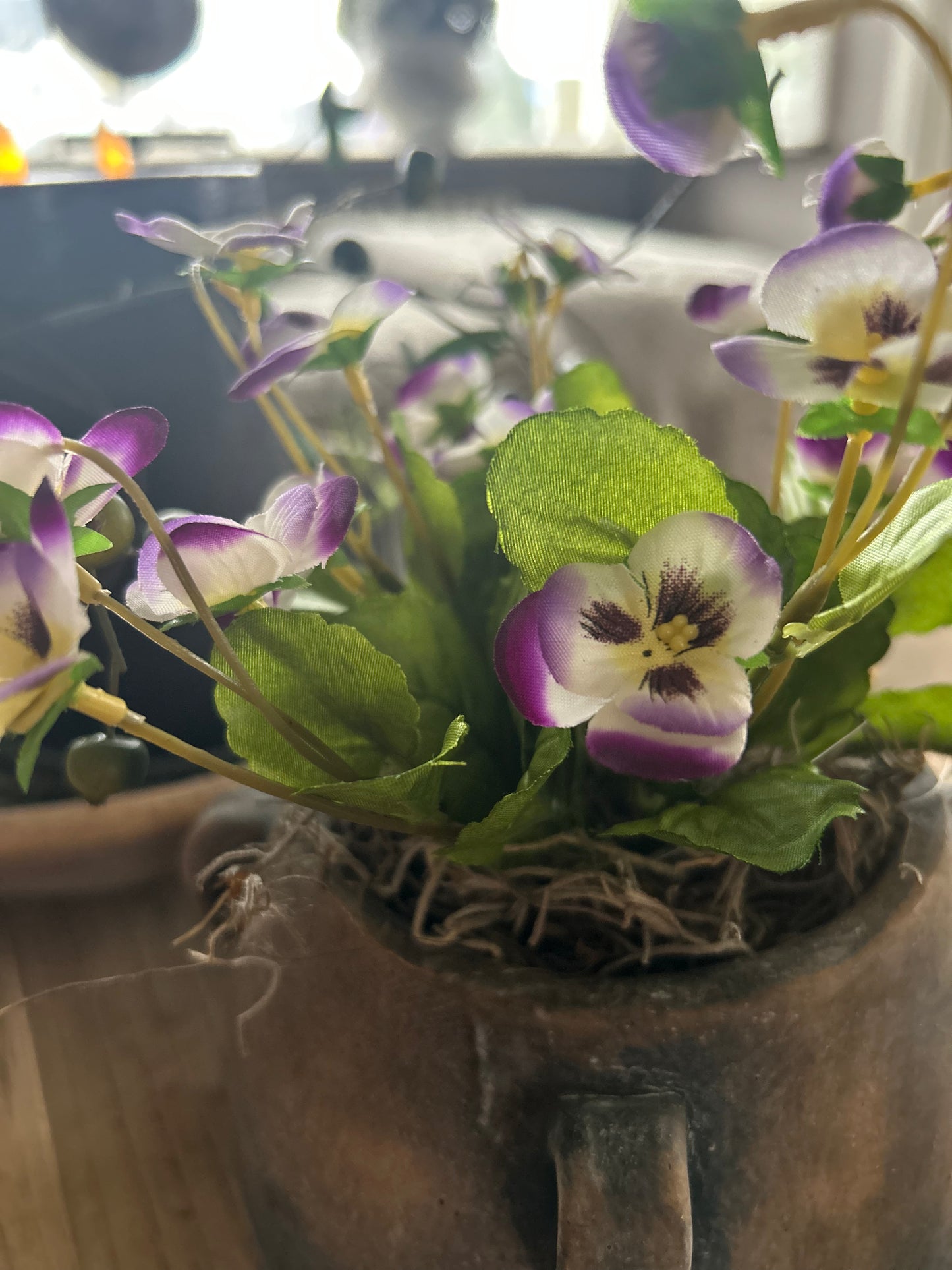 Viooltje light Purple