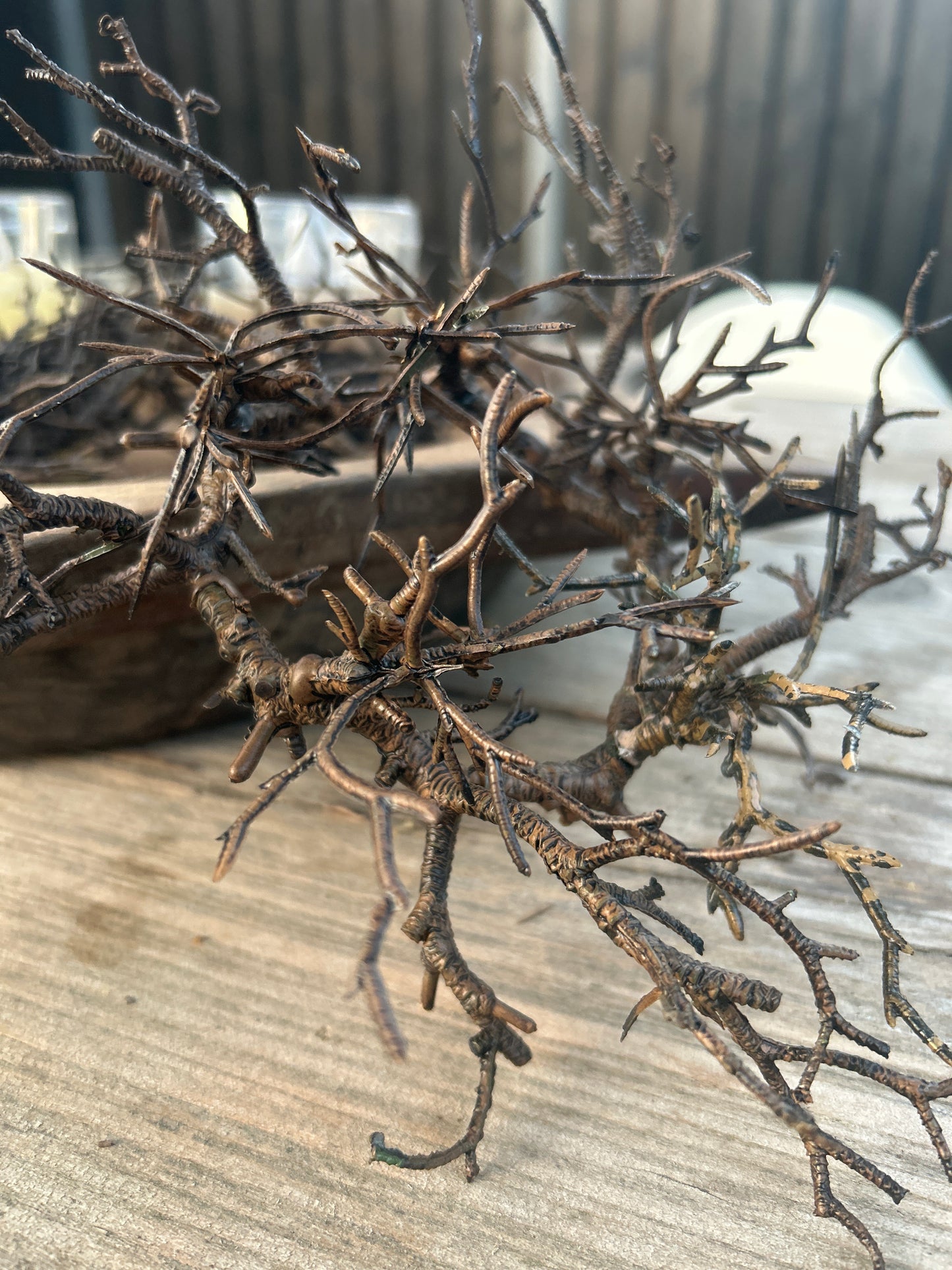 Bonsai kransje kunst