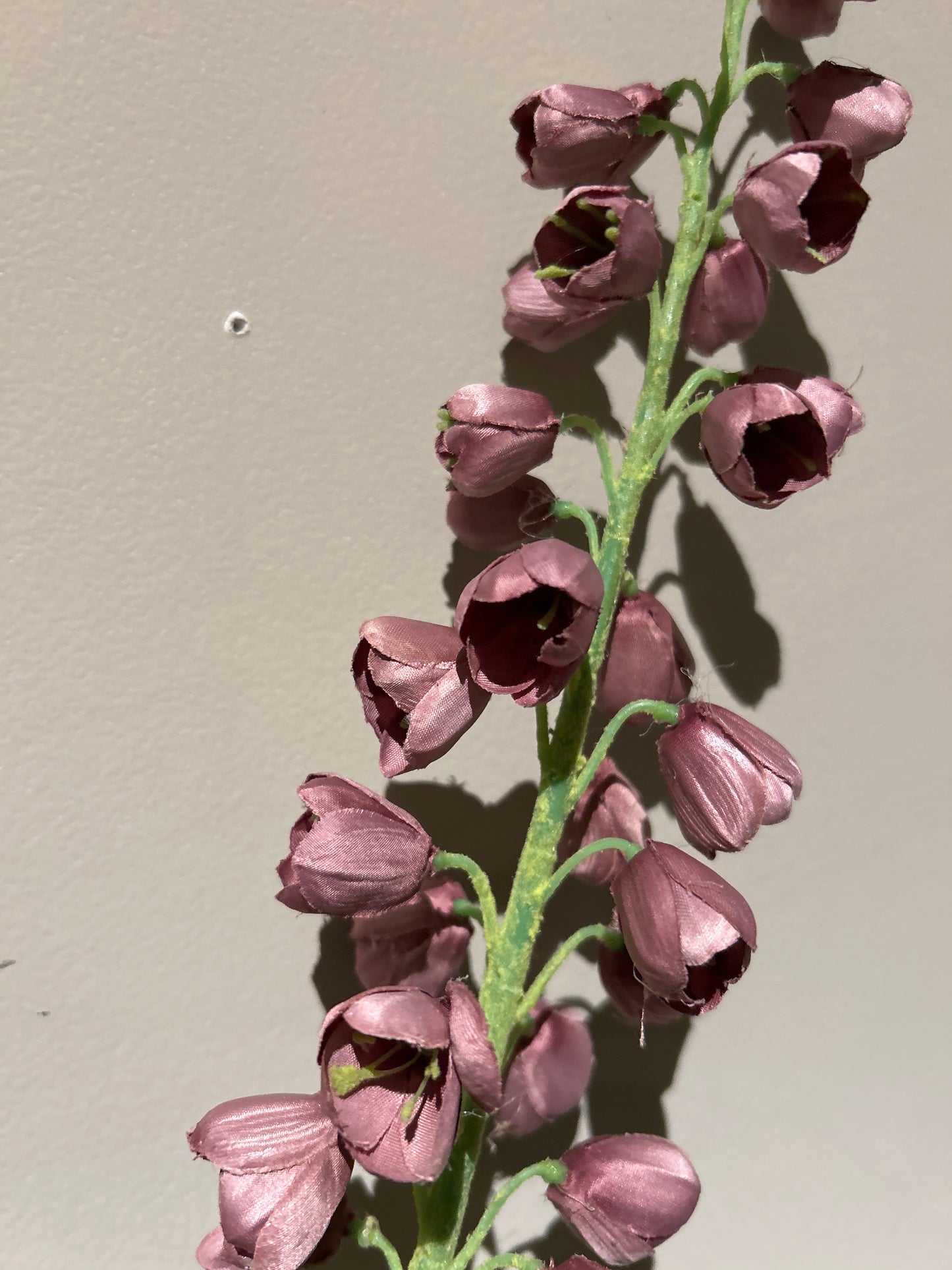 Fritillaria stem mauve 94 cm