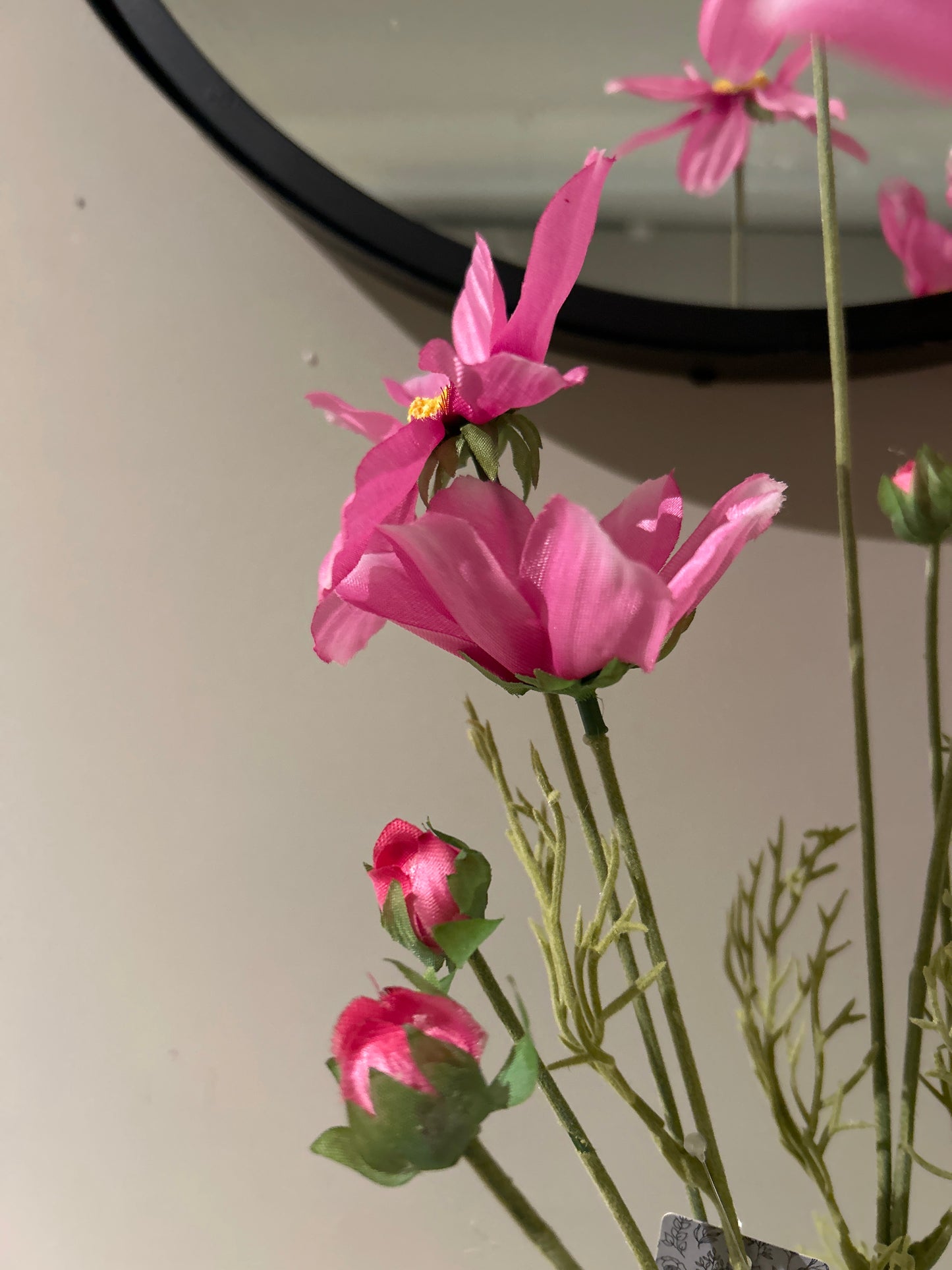 Cosmos orion Pink 92 cm