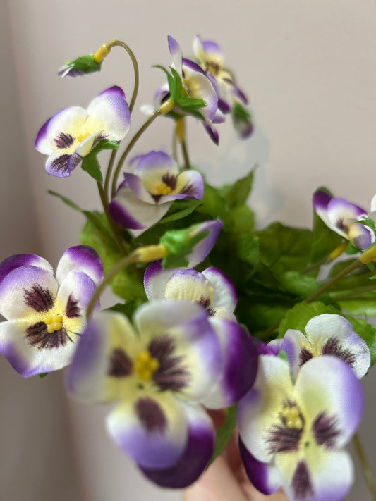 Viooltje light Purple