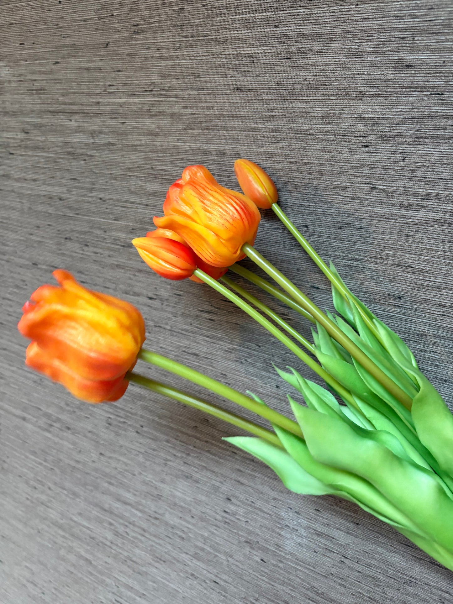 Tulp Oranje