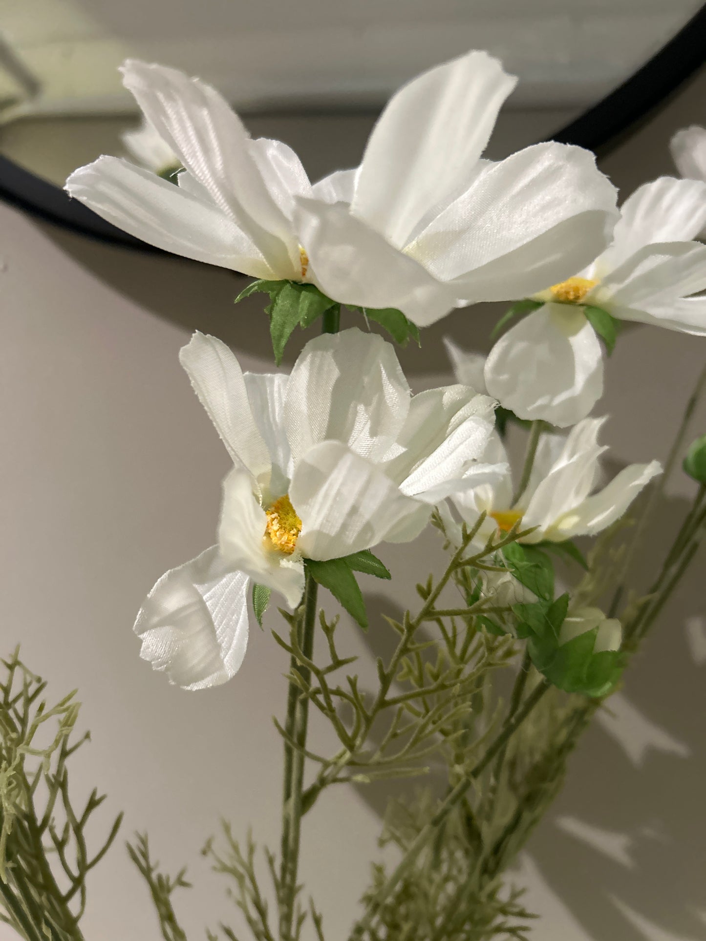 Cosmos Orion White 92 cm