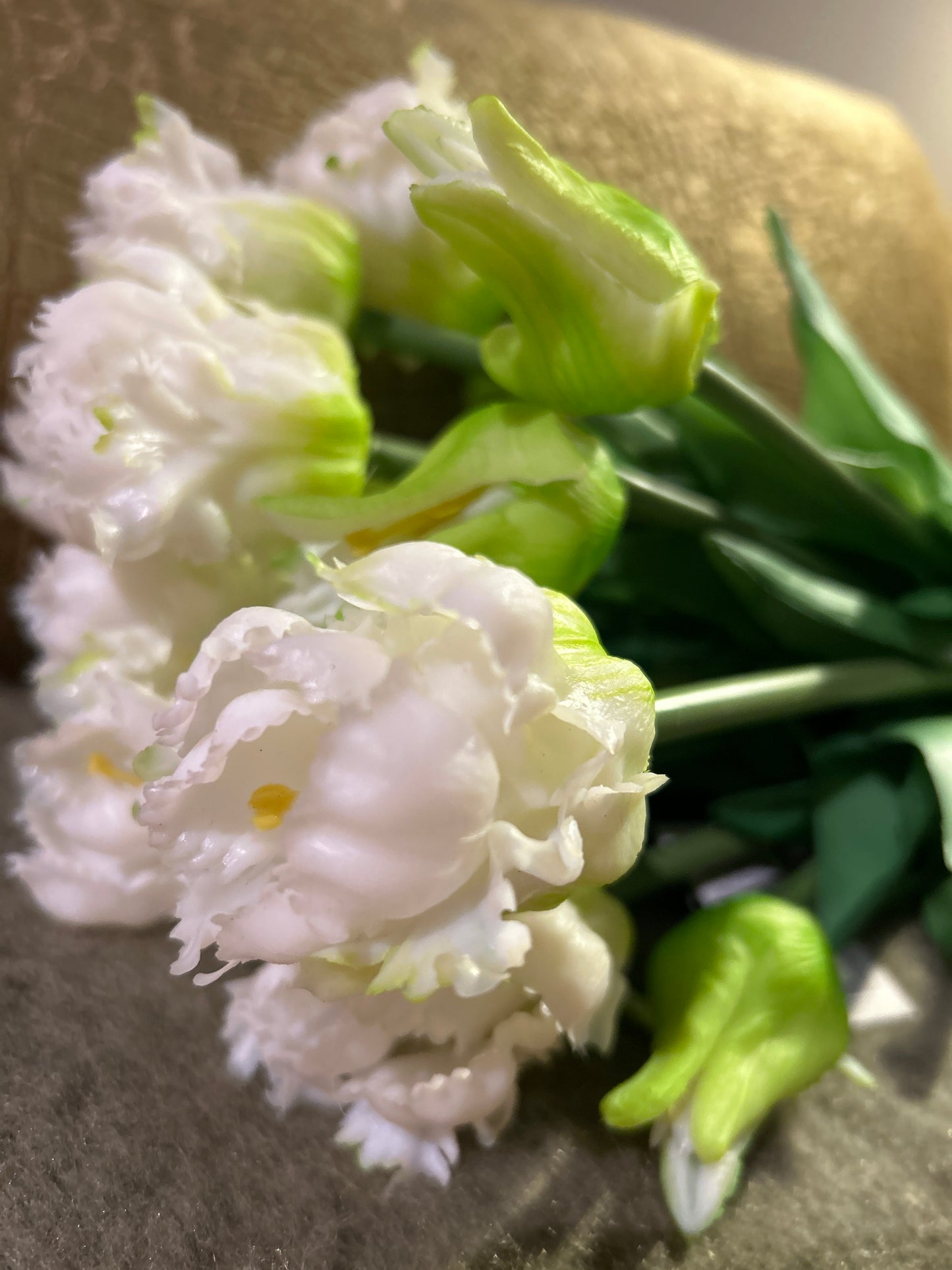 Real touch papagaai tulp  White