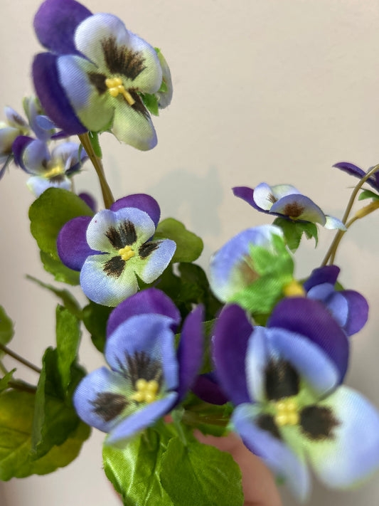 Viooltje dark Purple