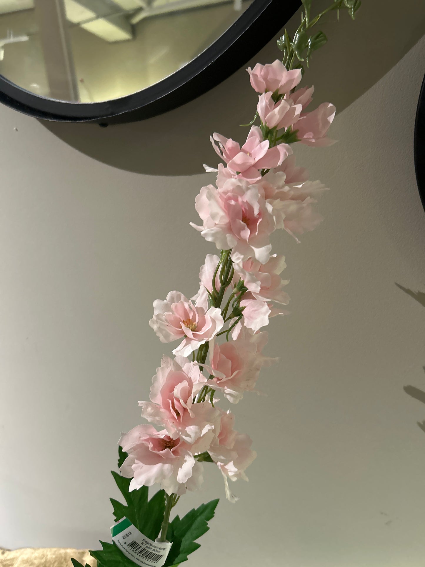 Delphinium Ridderspoor Pink 92 cm