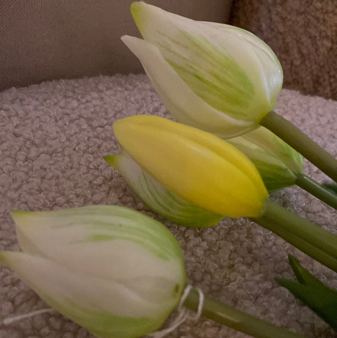 Real touch tulp kort off White