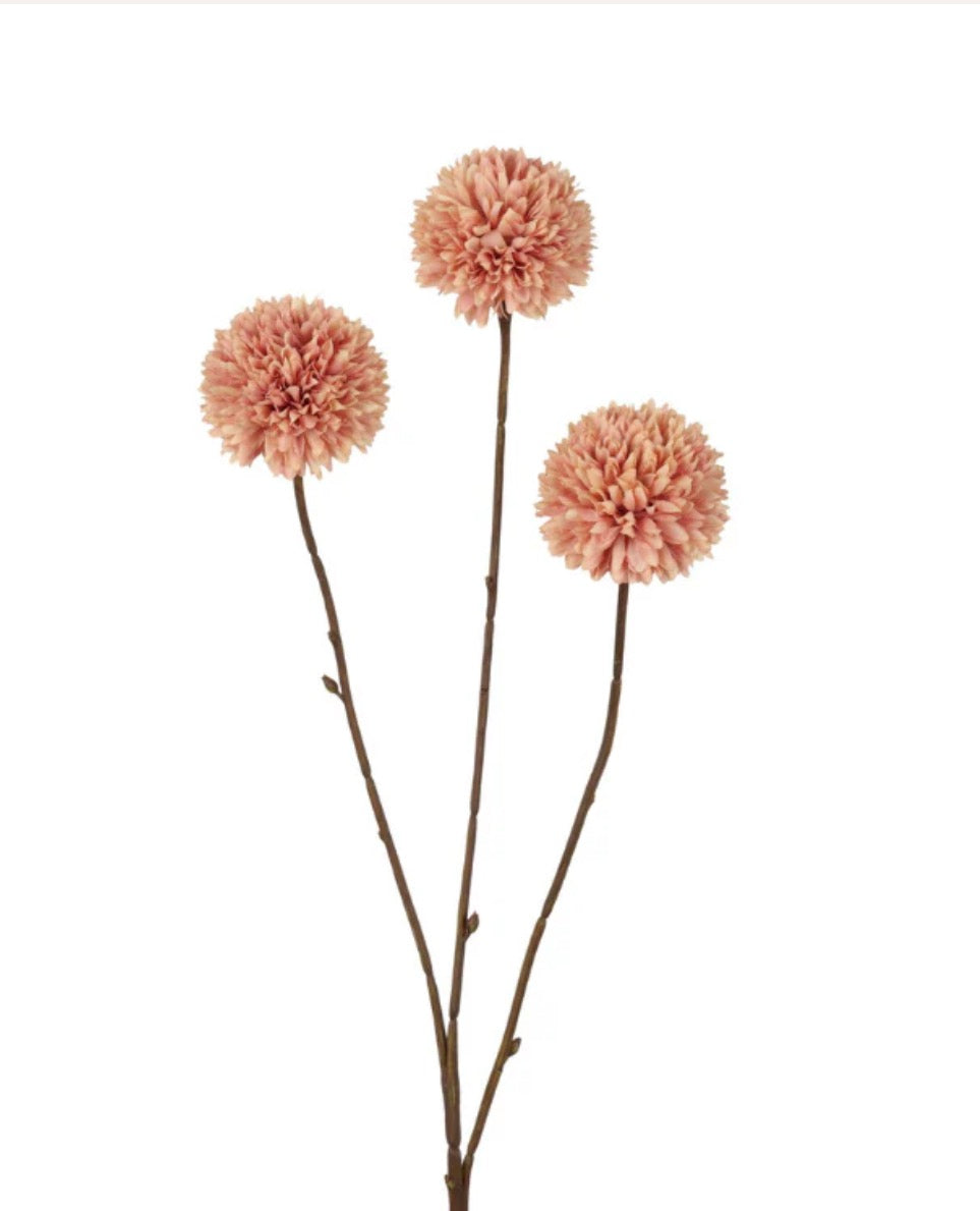 Pom pom tak Champagne