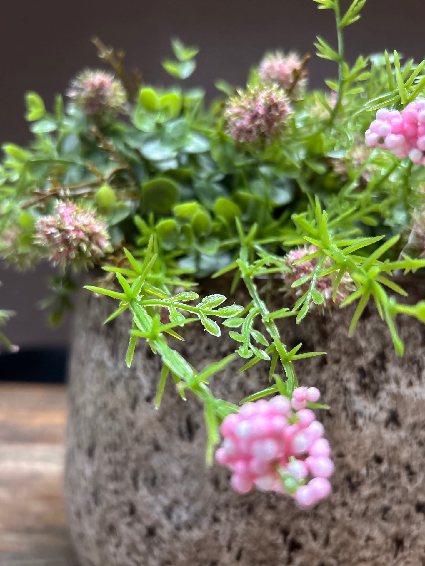 Sedum Pink