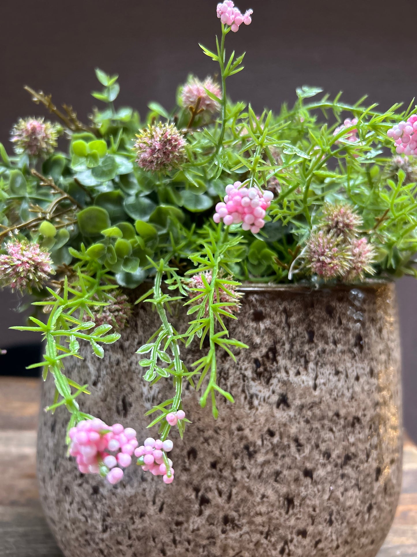 Sedum Pink