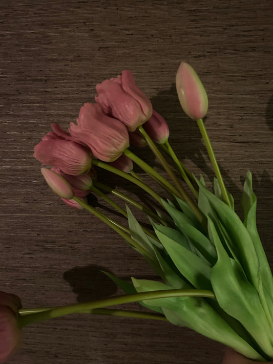 Tulp Mauve