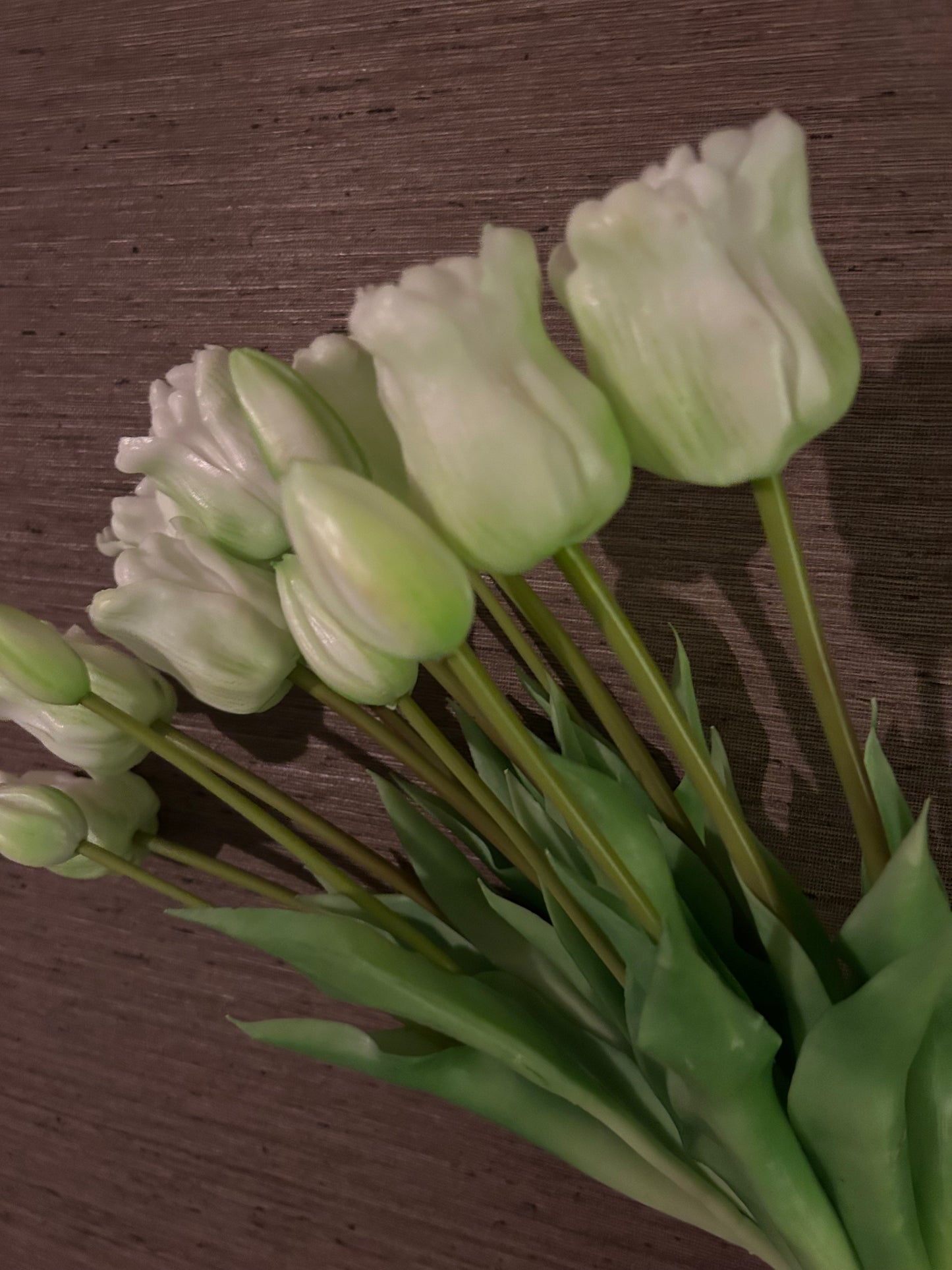 Tulp White
