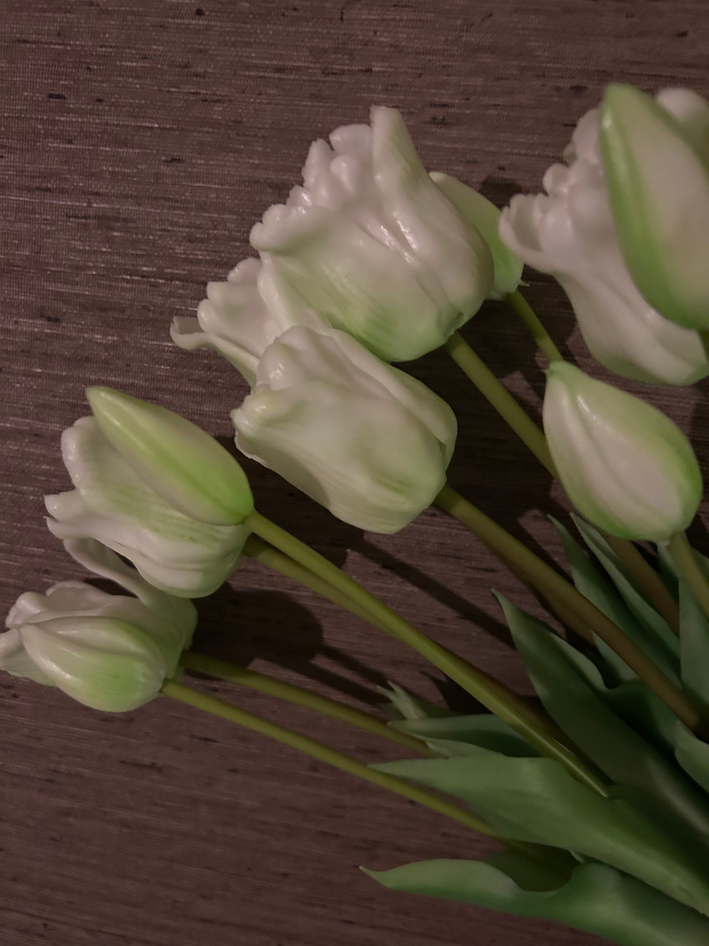 Tulp White