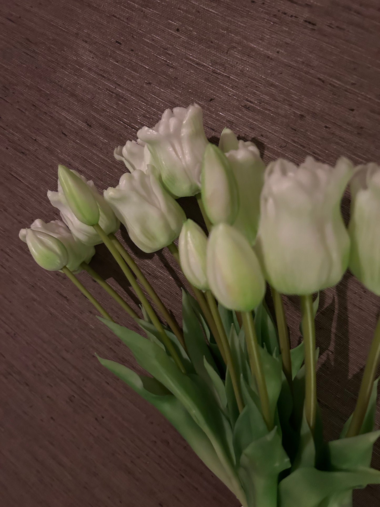 Tulp White