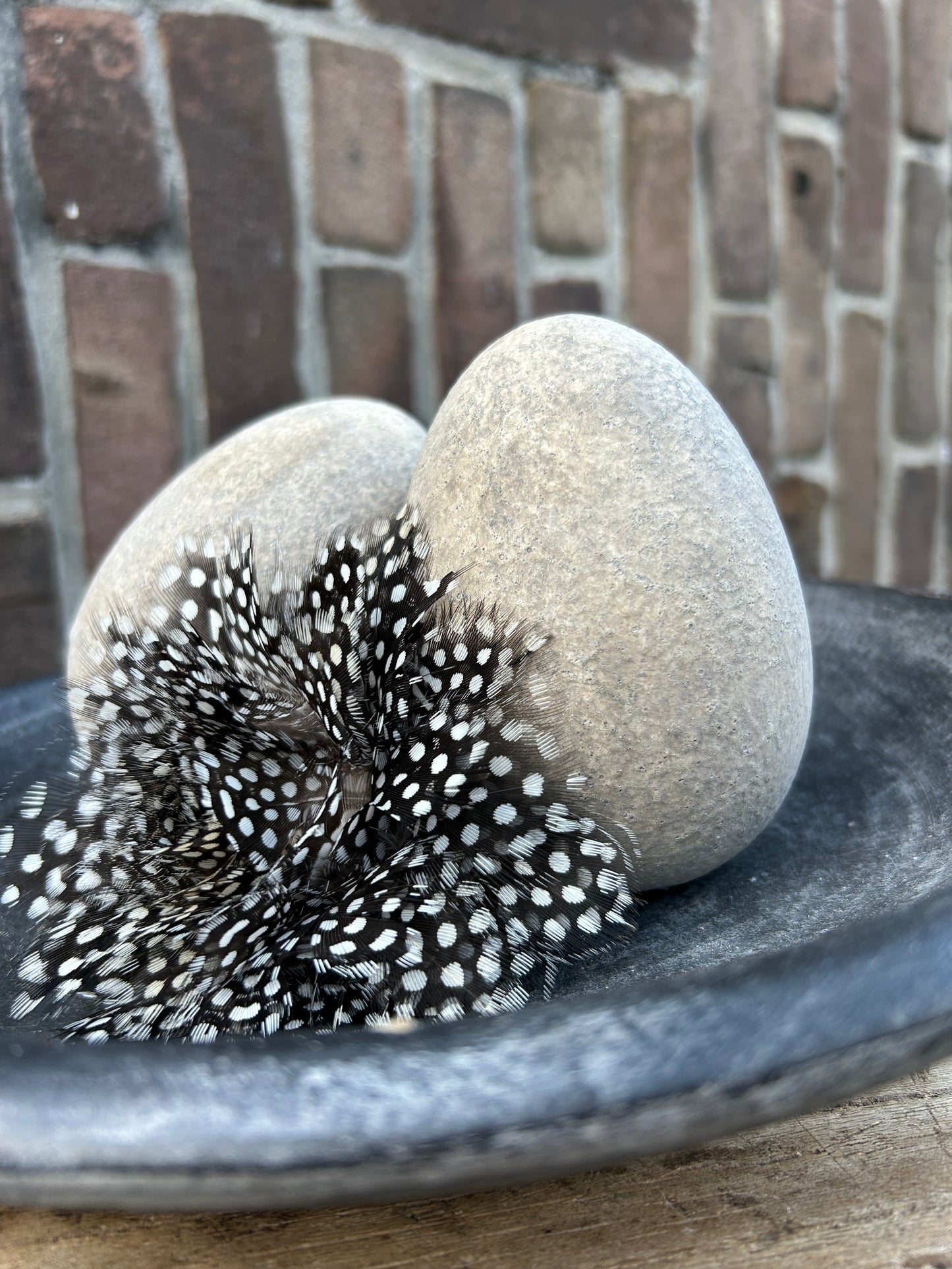 Roosje van Hoendeveren