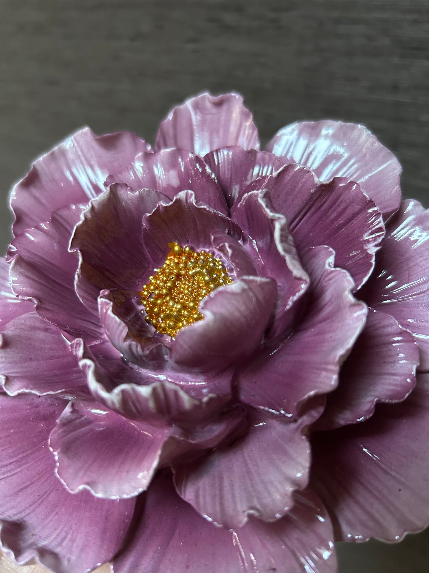 Muurbloem Muriel nr 4