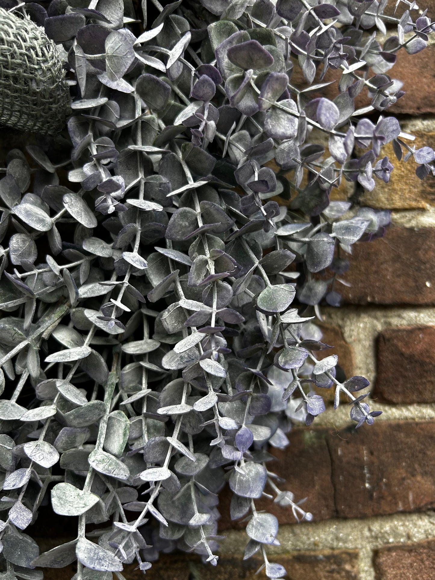 Eucalyptus krans vergrijsd lilac