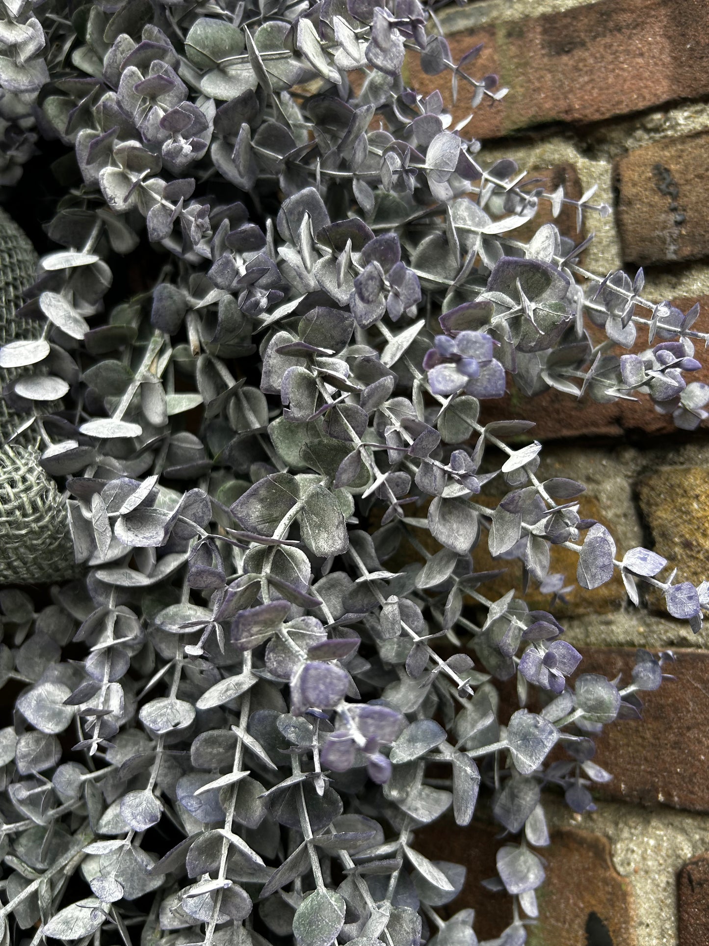 Eucalyptus krans vergrijsd lilac
