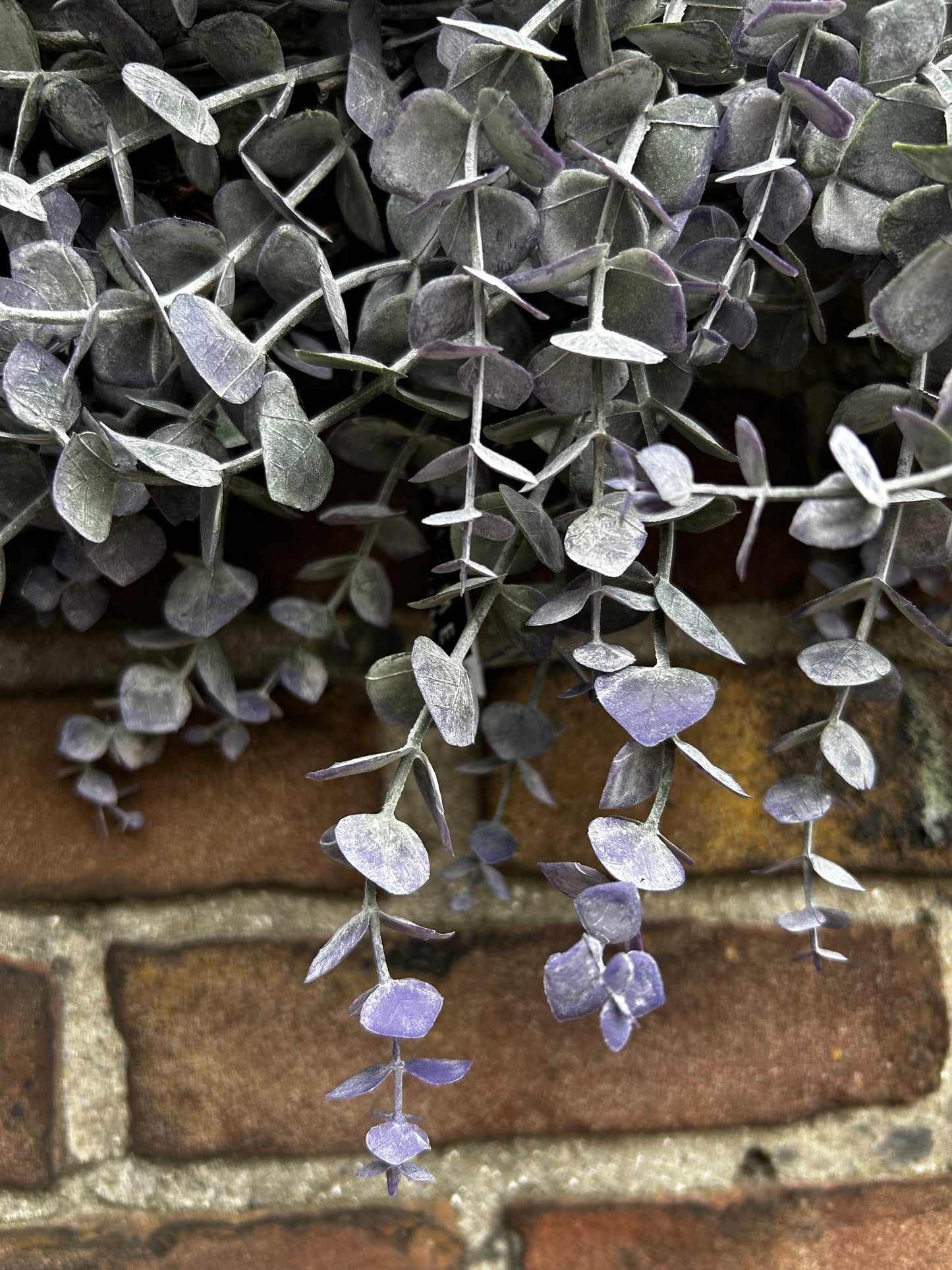 Eucalyptus krans vergrijsd lilac