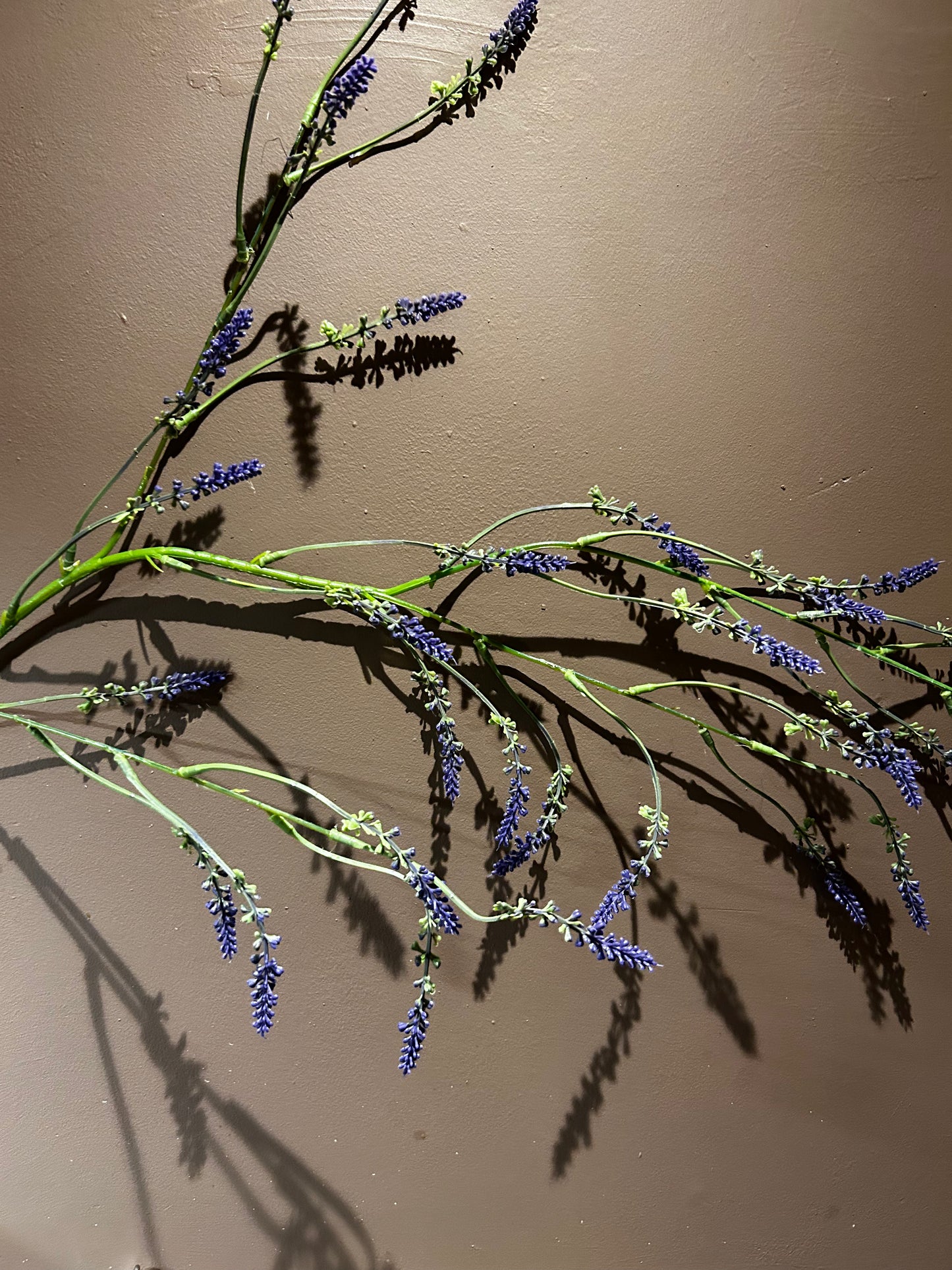 Spray Purple