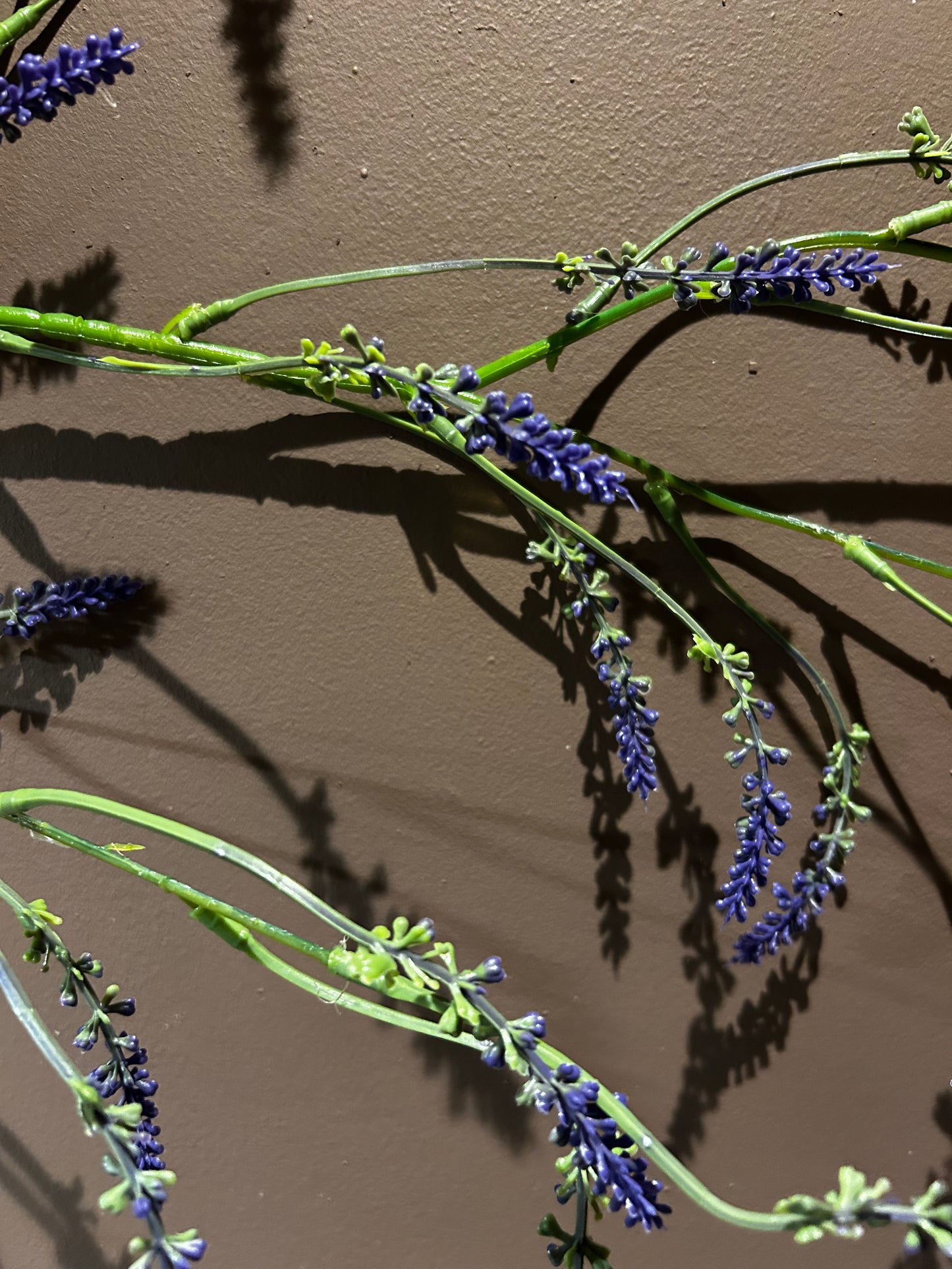 Spray Purple