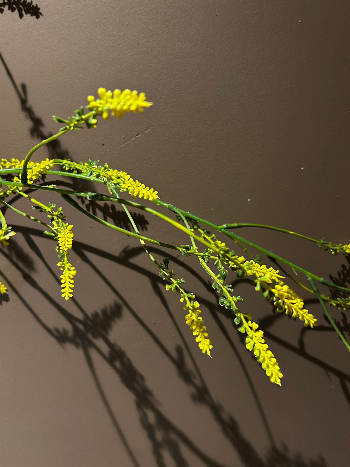 Spray Butter Yellow