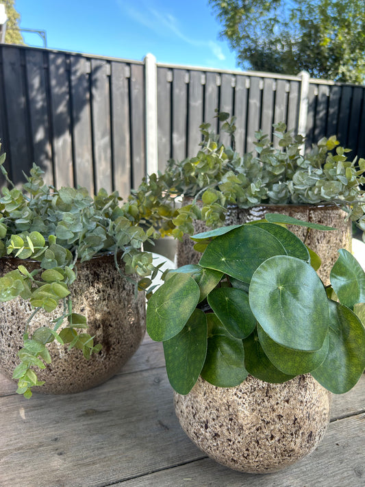 Retro pot L ex plantjes