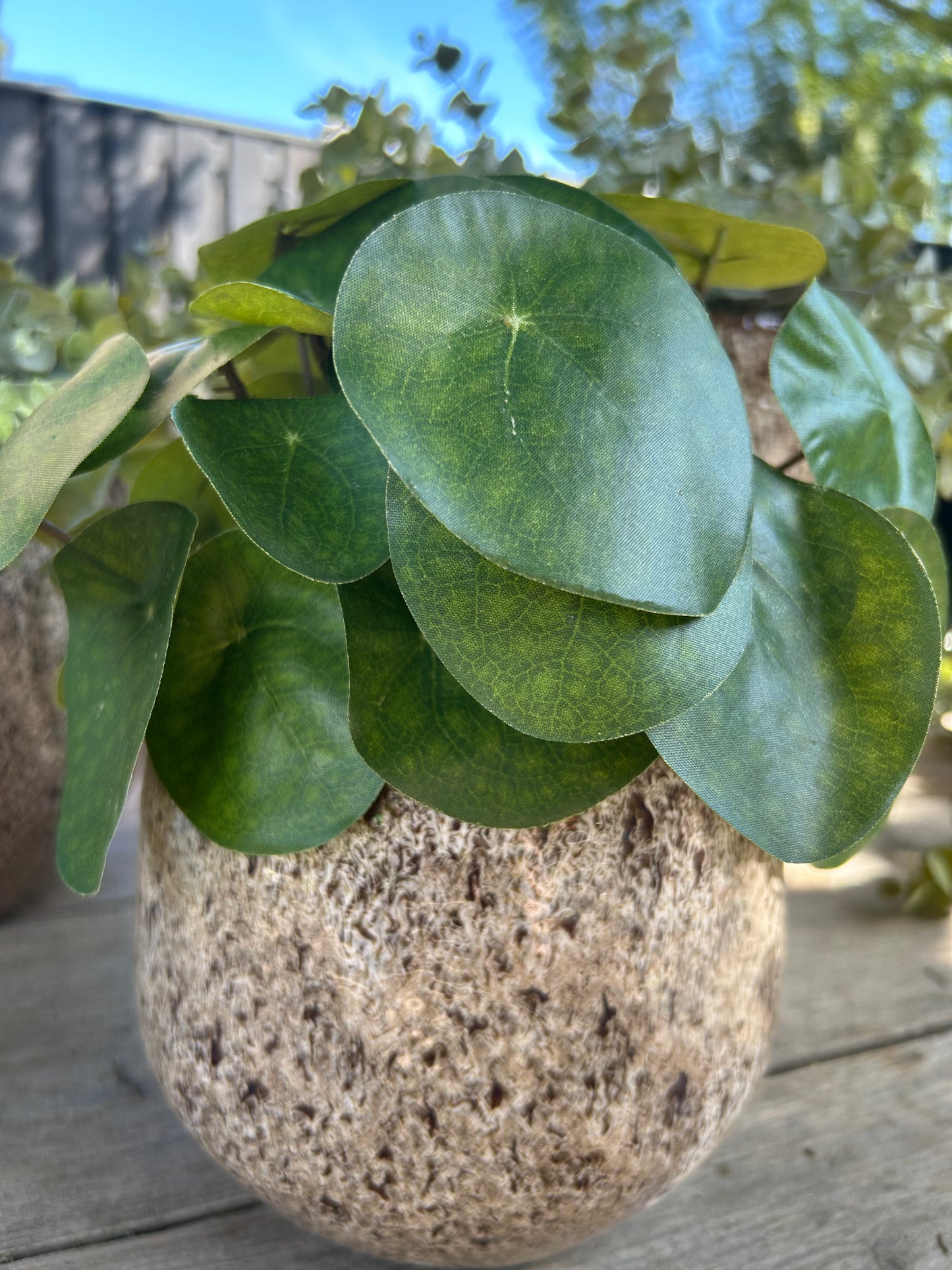 Retro pot M ex plantjes