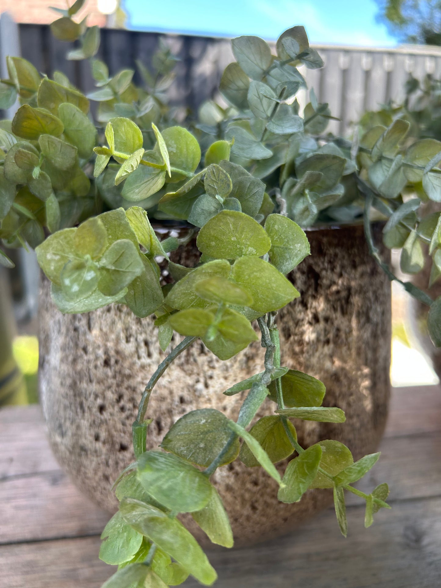 Retro pot M ex plantjes