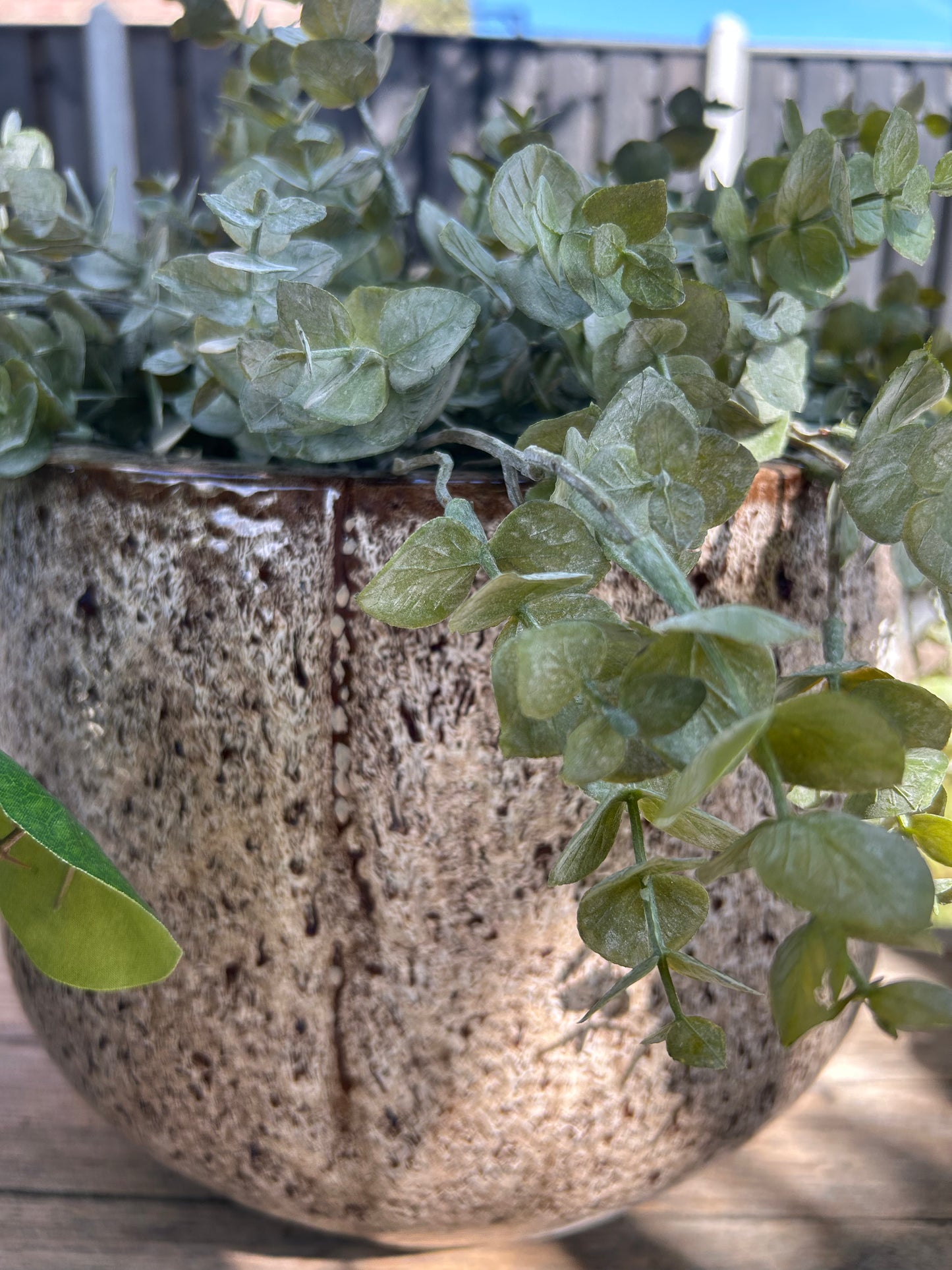 Retro pot M ex plantjes