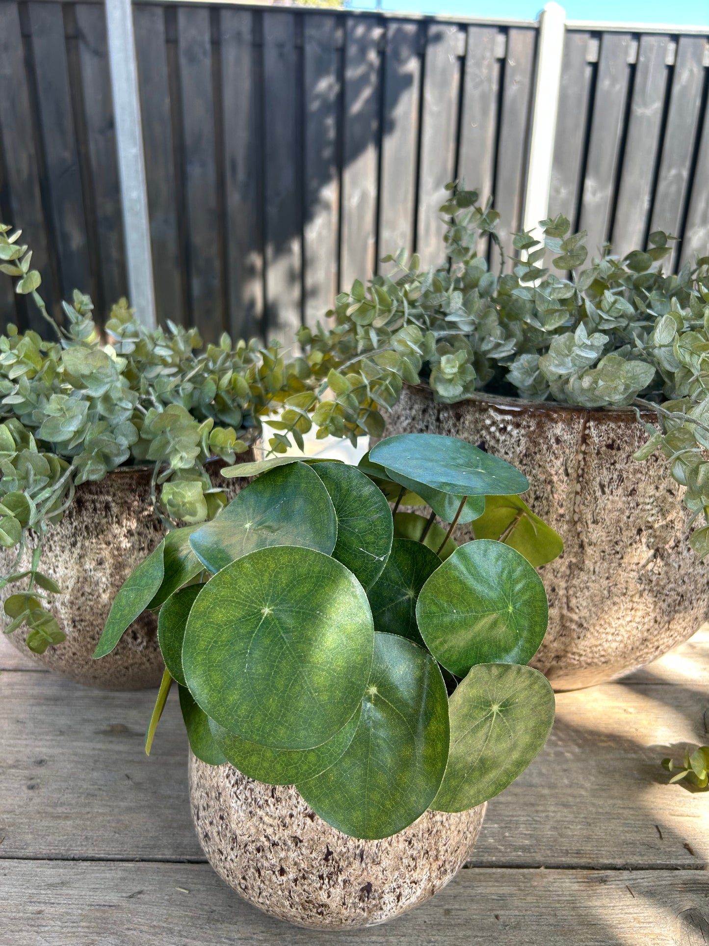 Retro pot M ex plantjes