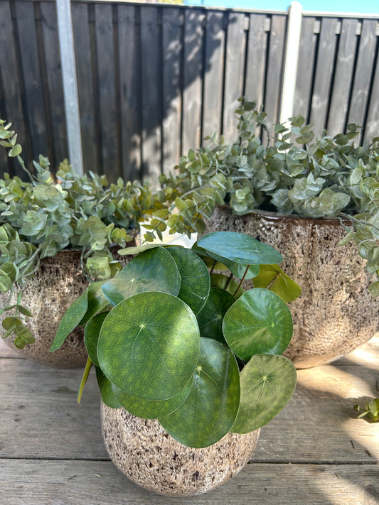 Retro pot M ex plantjes