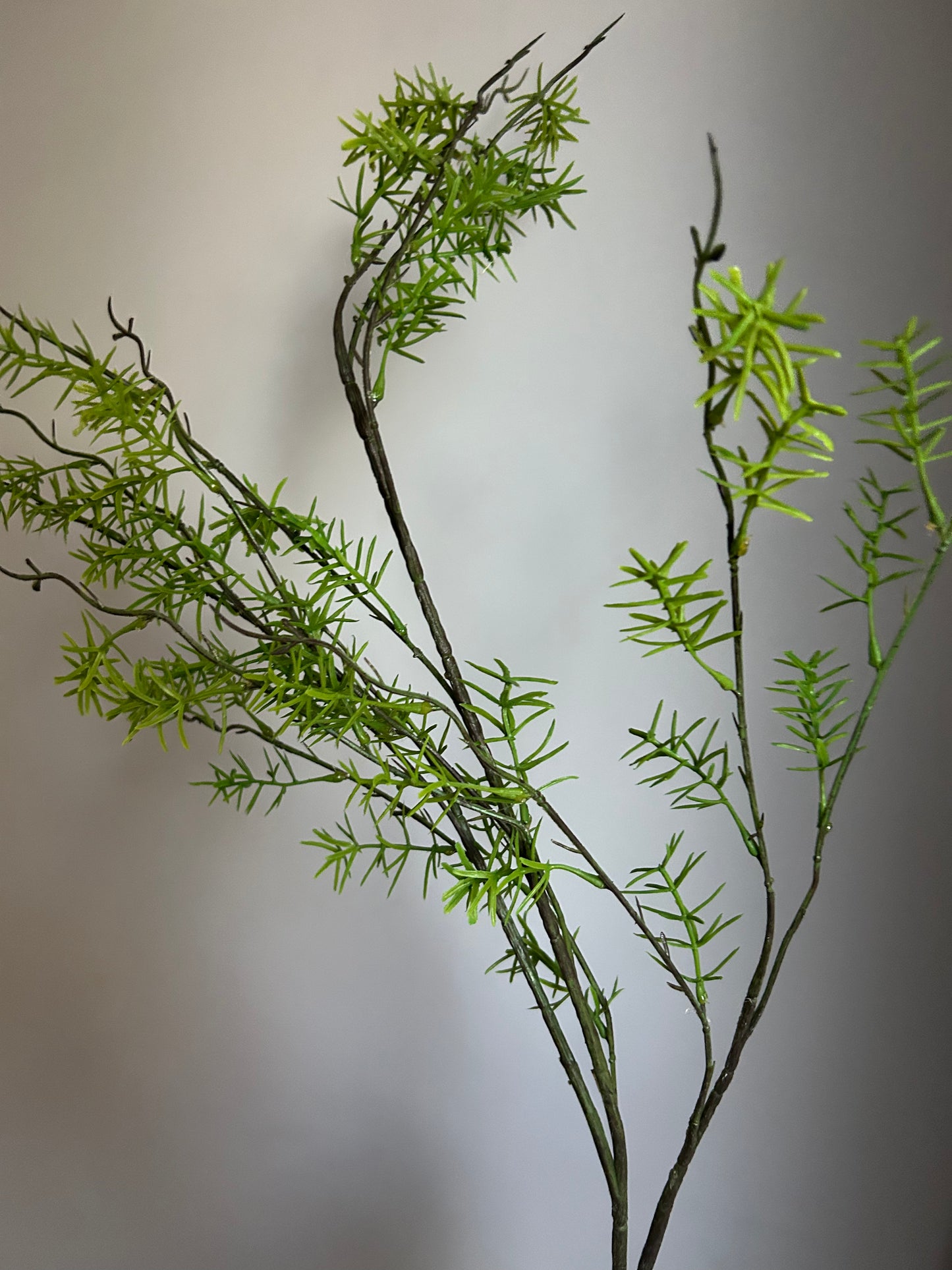 Spring Branch green 120