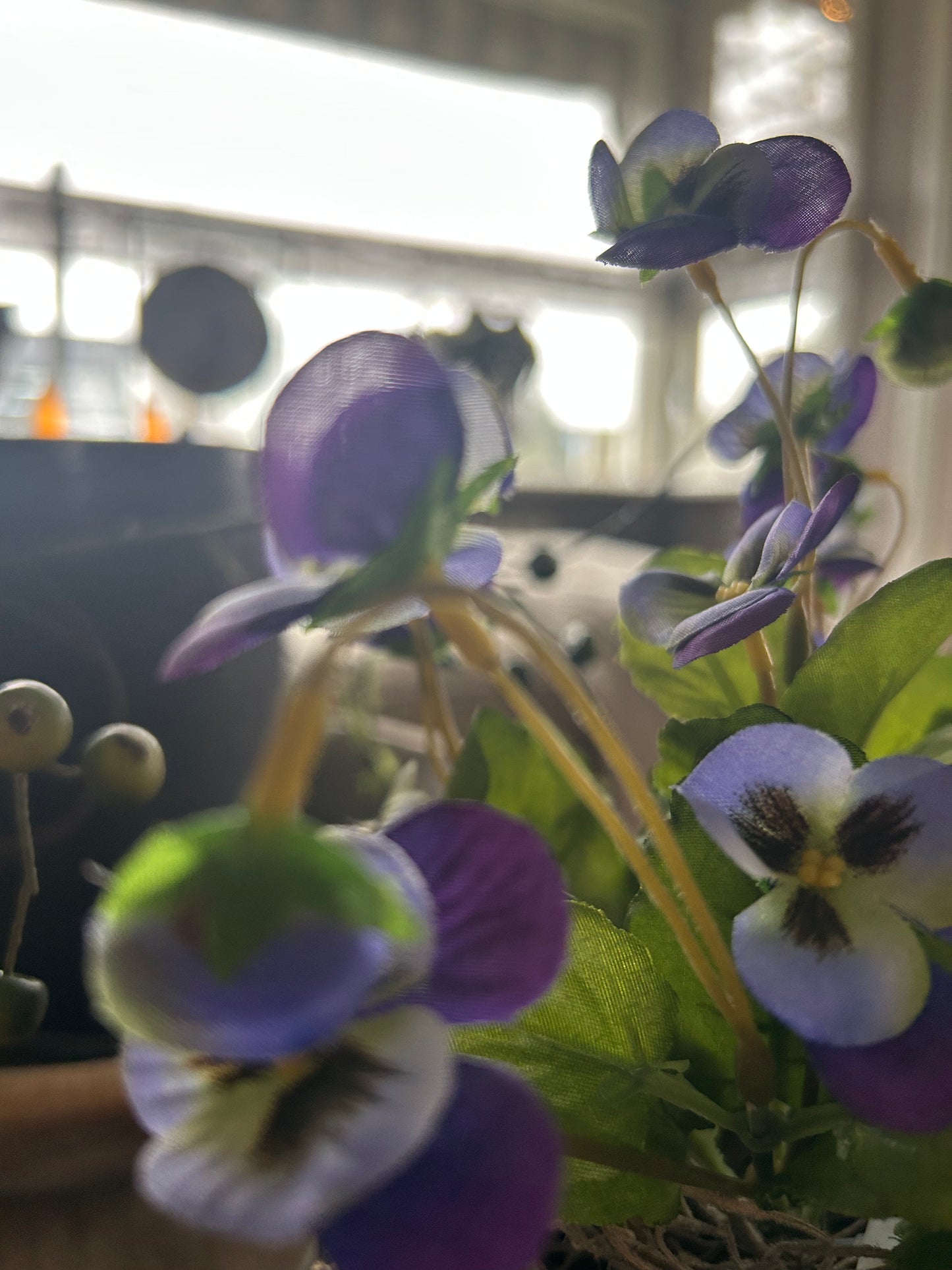 Viooltje dark Purple