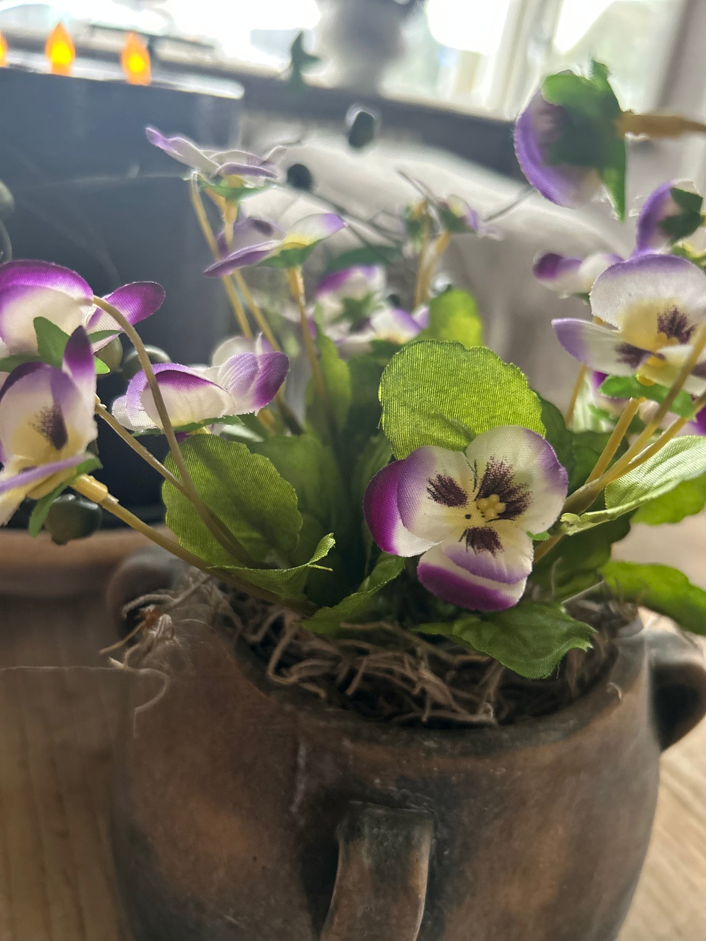 Viooltje light Purple